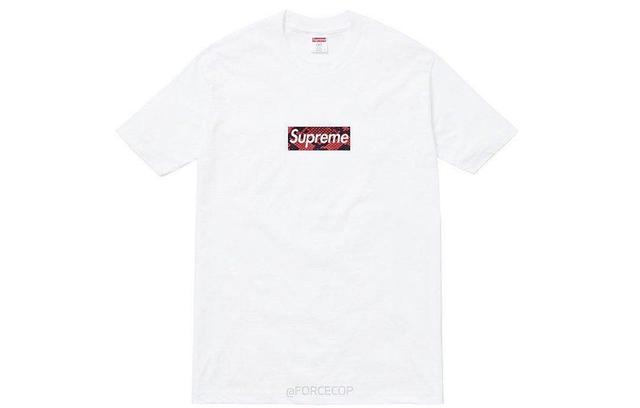 supreme north face tee 2018
