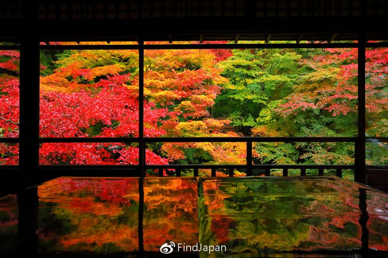 為看一場京都紅葉 就值得踏上一次旅程 Itw01