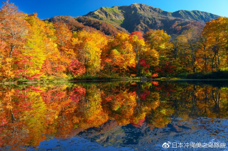 秋之旅 推薦日本秋天旅行的8大好去處 Itw01