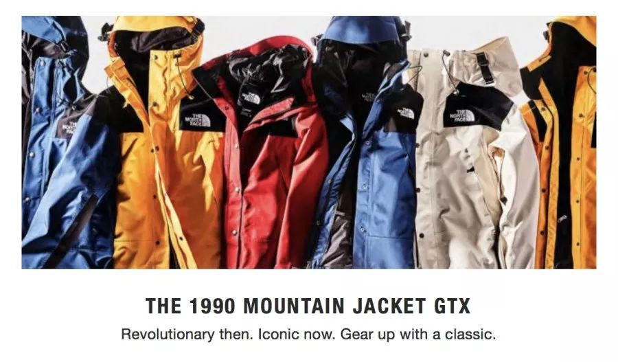 1990 mountain jacket gtx phlox purple