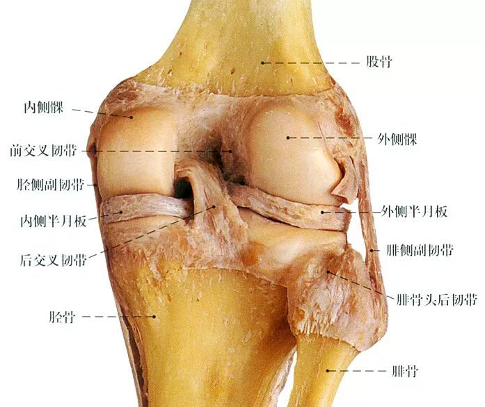 半月板損傷不可逆這樣做可以保護好膝關節 Itw01
